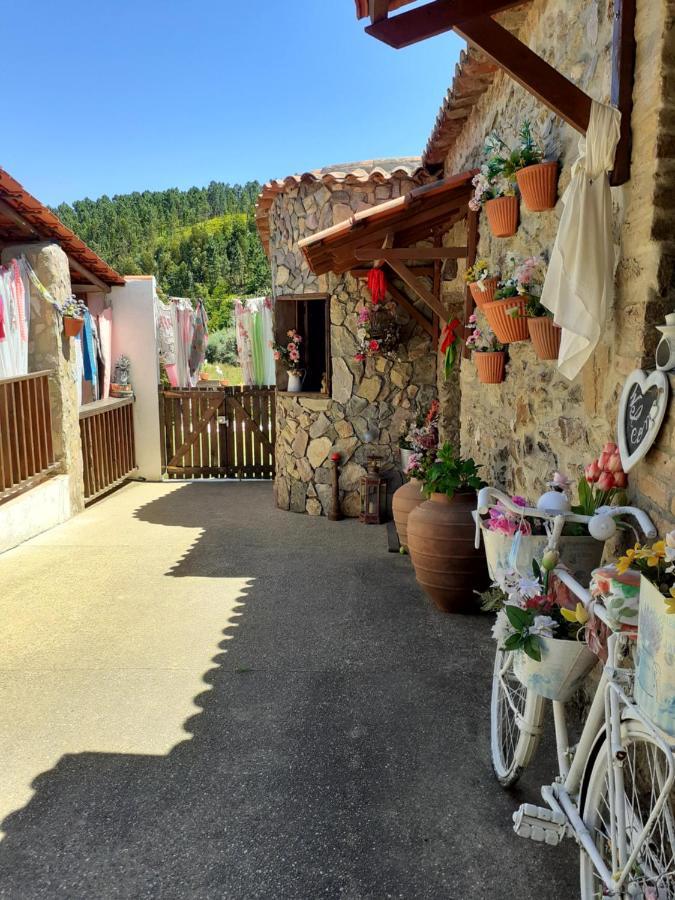 Hotel Casa Do Trapo Sardoal Zewnętrze zdjęcie